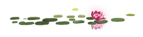 6.png