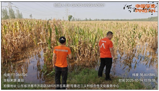 图片 4.png